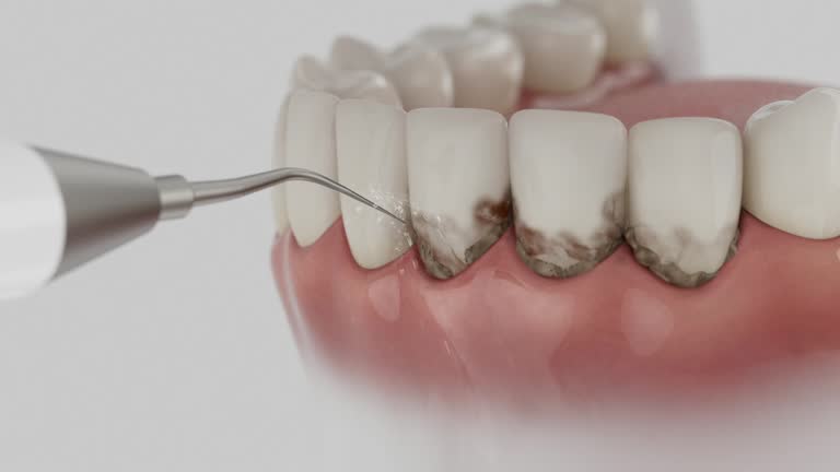 Reliable Dental contractor in Marshall, AR by Dentist Open Now